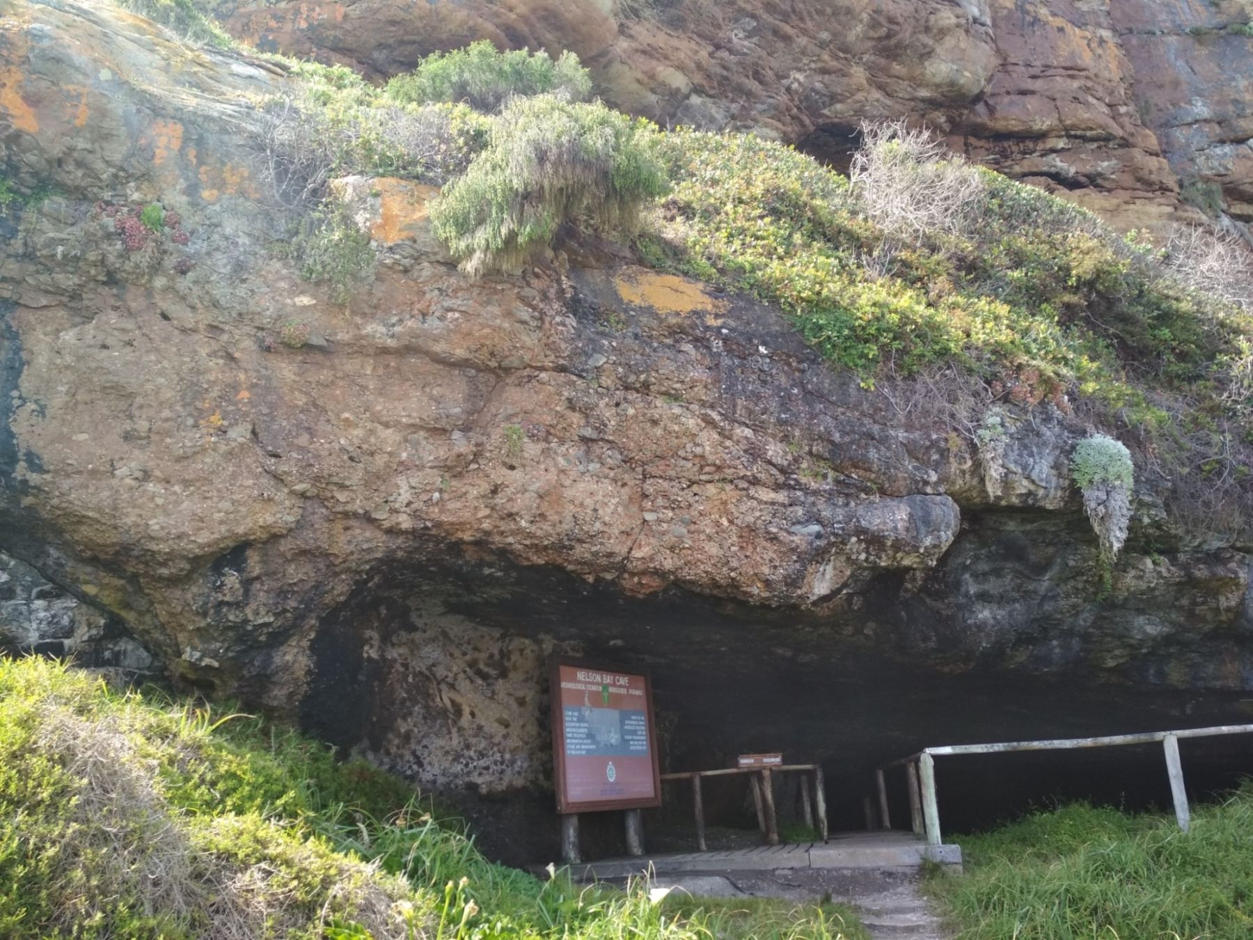 Nelson-Bay-cave-IMG_20181113_145752-copy