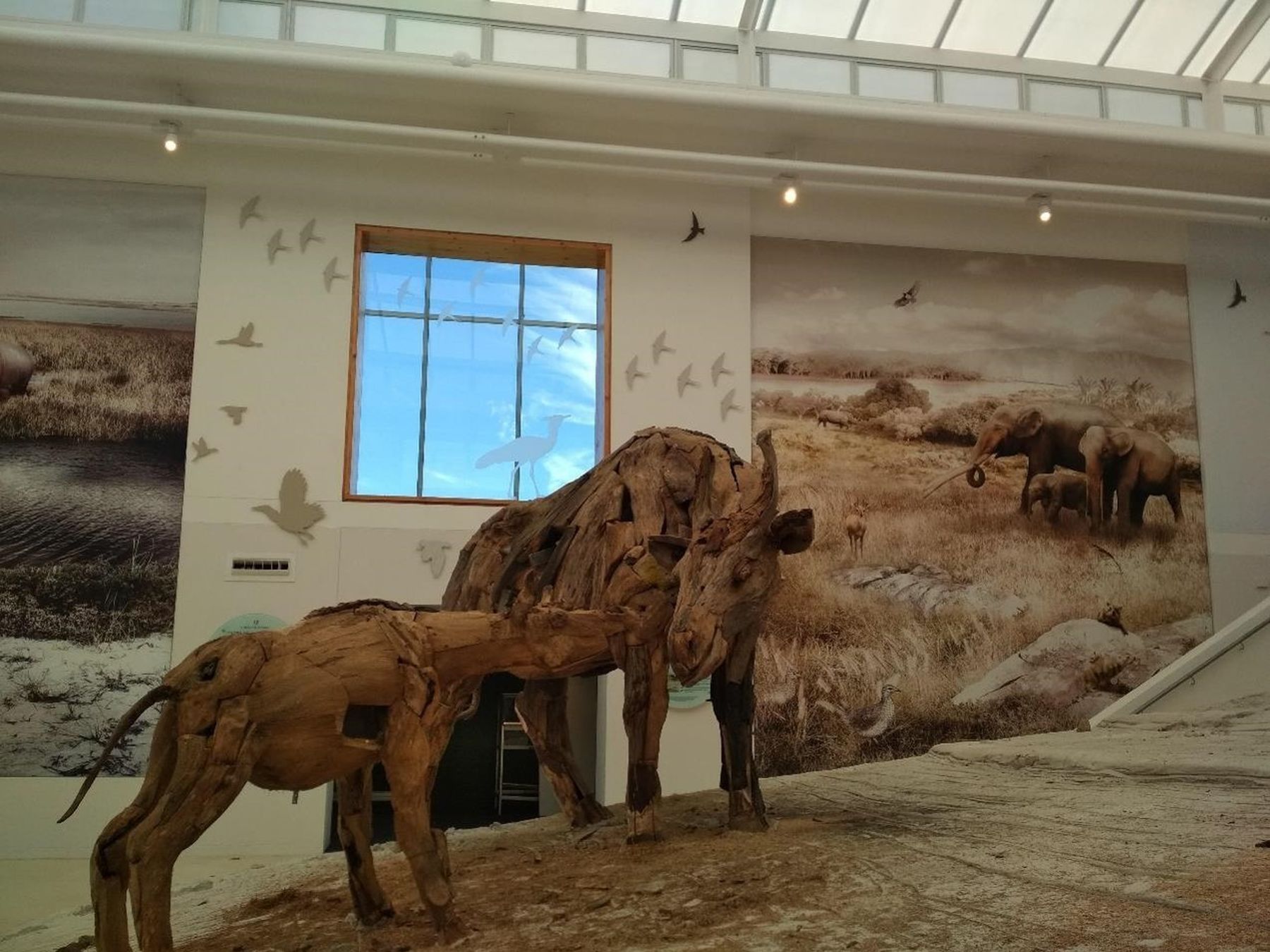 West-Coast-Fossil-Park-Picture1-copy